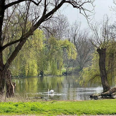 Strasbourg, Appartement Cosy Au Bord De L Eau Eksteriør bilde